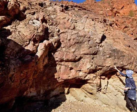 Deposits from the Sturtian Glaciation 717¬–664 million years ago in the northern Flinders Ranges, Australia. Research lead author Dr Adriana Dutkiewicz pointing to a thick bed of glacial deposits.  Source:  Professor Dietmar Müller/University of Sydney