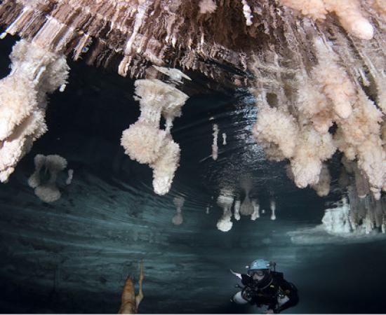 Diver at the Genovesa Cave, Mallorca.