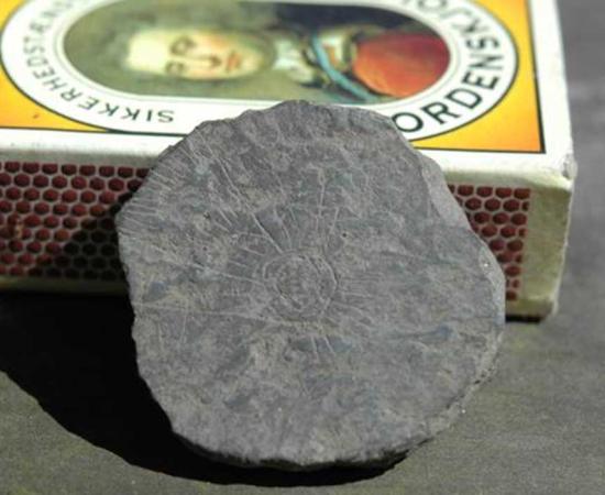 The stones can fit in the palm of a hand or pocket. Pictured isone from a 2014 excavation