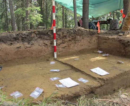 Swan Point Alaska’s Unique Stone Tools Are Proof of Beringia Theory