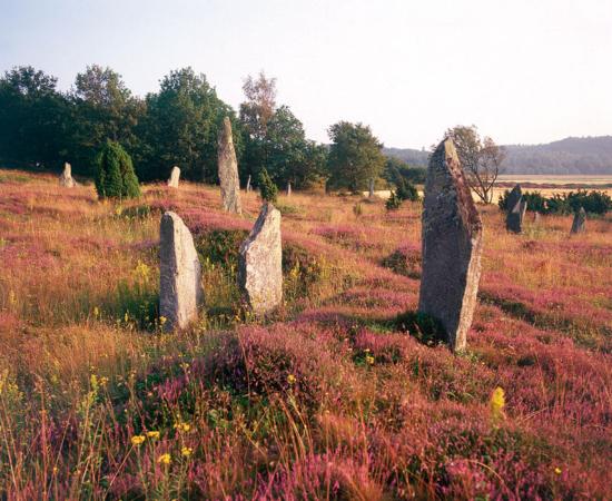 Li’s gravestones at Fjärås Bräcka  