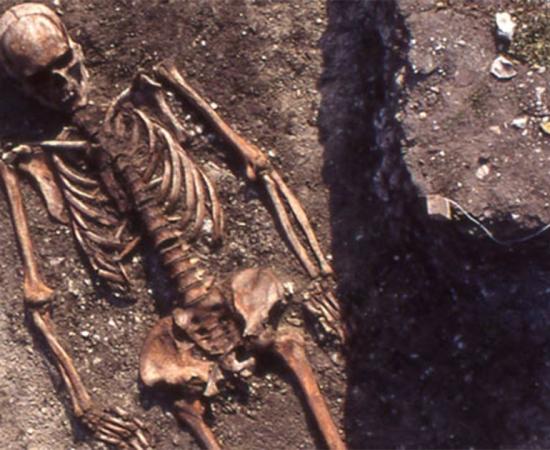 A man of the Pitted Ware Culture in the tomb field of Ajvide in Gotland represents a typical burial. Source: Åsa Malmberg, (Uppsala University)