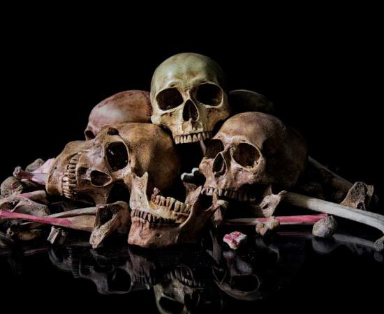 Tamerlane's cruelty was legendary and extensive, including 120 skull towers containing about 90,000 heads near Baghdad after the sultan of the city insulted him. (Kanphichaya / Adobe Stock)