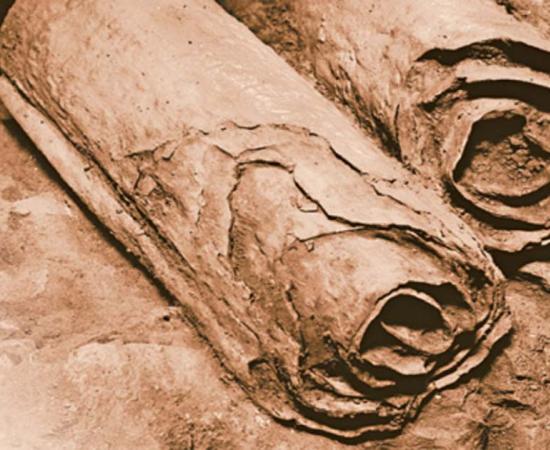 The Dead Sea Scrolls