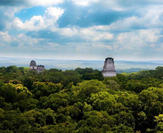 A view of the Tikal jungle landscape from Temple IV. It was in this dense forested area that LIDAR amazing found the Teotihuacan replicas hidden from archaeologists working at the famous site for more than 60 years.  Source: JuanLuis / Adobe Stock