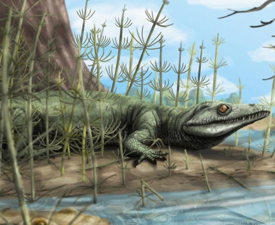 Artistic representation of Teyujagua paradoxa. 
