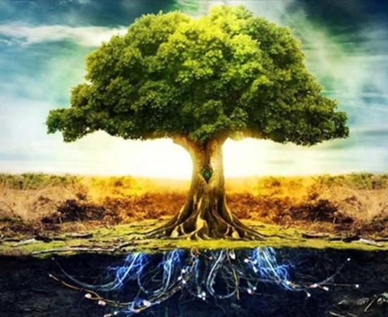 A depiction of a tree of life or axis mundi.