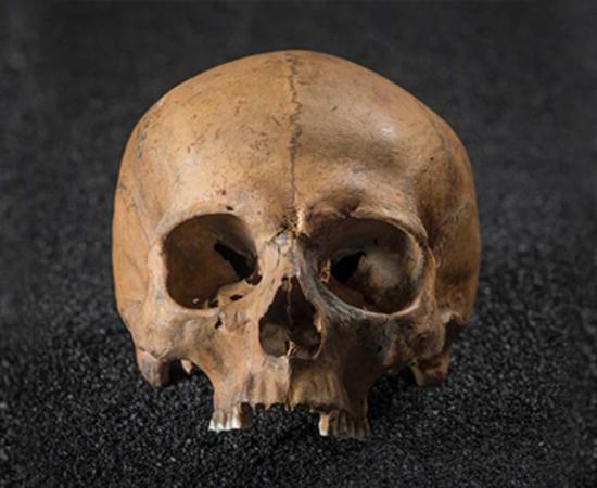 Skull from Roman Dead exhibition at the Museum of London Docklands 