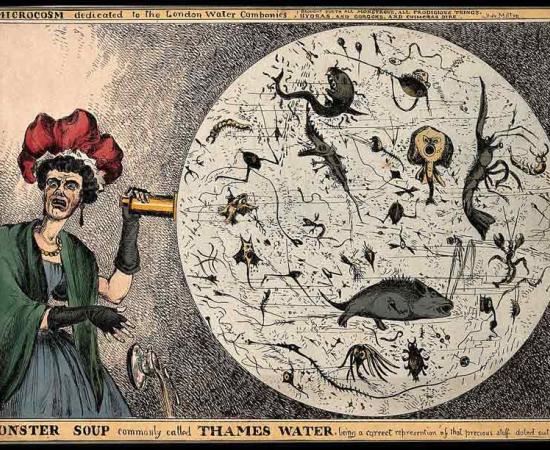 A 19th-century woman during London’s Great Stink woman drops her teacup in horror upon viewing a magnified drop of polluted Thames River water, which was a prime source of water-borne diseases such as cholera and typhoid. 	Source: William Heath / Public domain