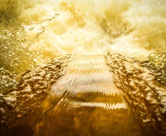  A flood of beer (kulkann / Adobe Stock)