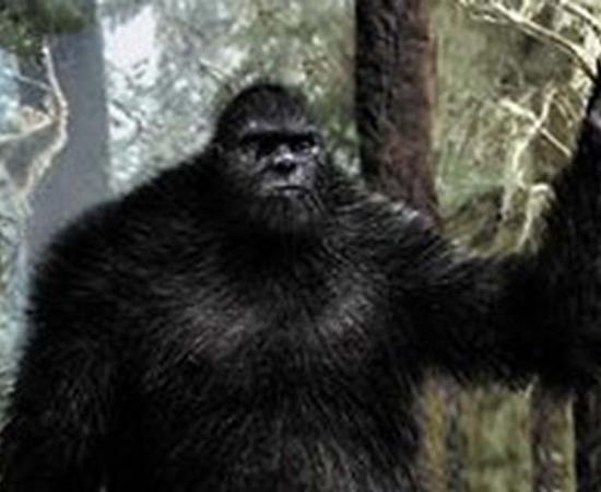  “Big Foot” 