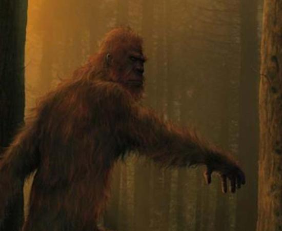 Artistic representation of bigfoot. 