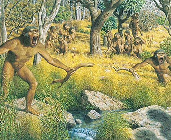 Artists impression of a group of australopith