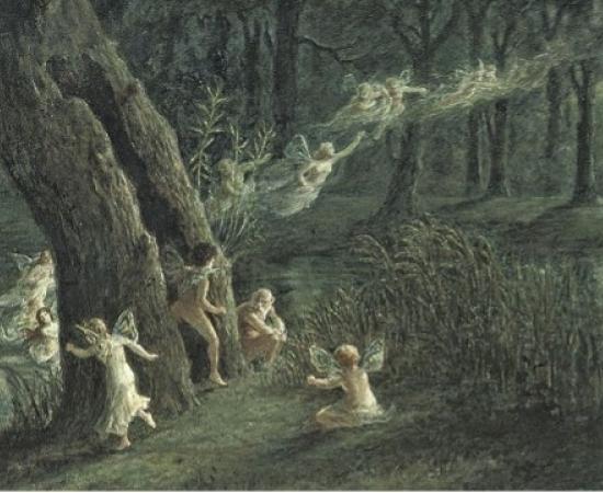 Woodland fairies dancing in the moonlight.