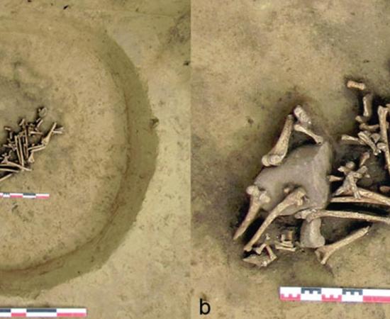 The pit of arm bones (Antiquity photo)