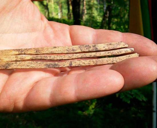 An ancient mouth harp found in the Altai Republic of Russia. 