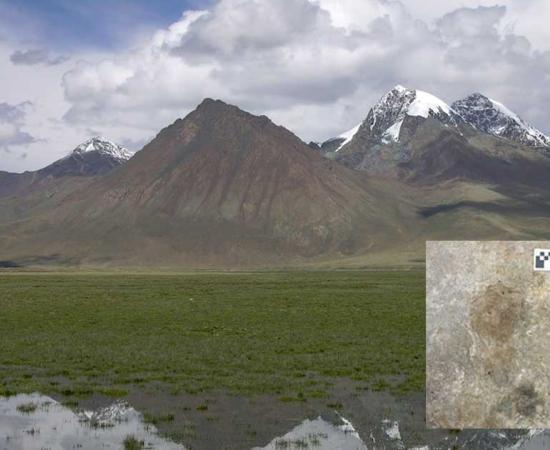 Humans Occupied Tibetan Plateau Thousands of Years Earlier than Previously Thought