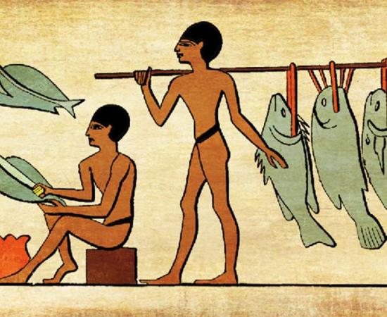 Tilapia Stew: Egyptian Recipe Found in 6000-year-old Stomach