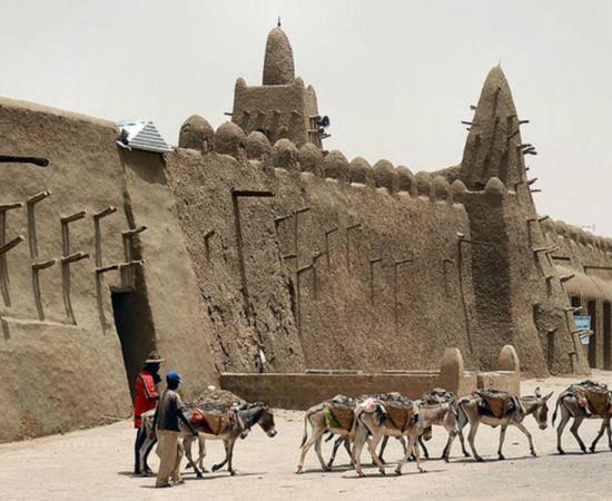 Team of eight unbridled donkeys walk past a mud mosque laden with a load of gravel. 
