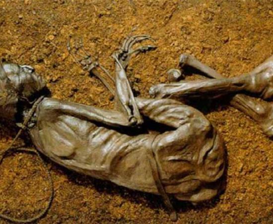 Discovered in 1950, the Tollund Man is on display at the Silkeborg Museum in Denmark. 		Source: Chocho8 / CC BY-SA 4.0