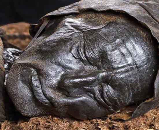 The well-preserved head of the Tollund Man. Source: A. Mikkelsen / Antiquity Publications Ltd