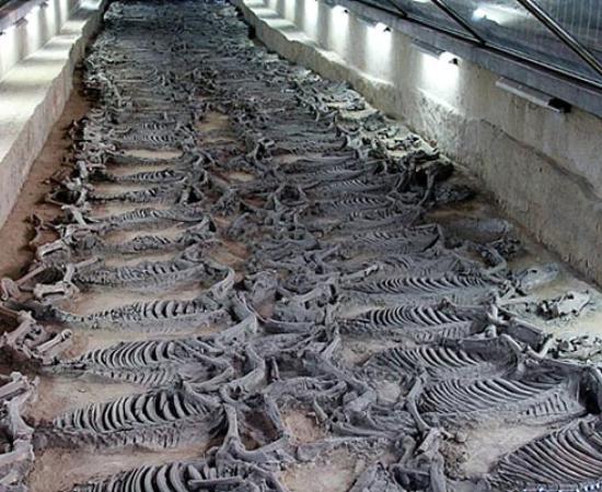 The Tomb of Duke Jing of Qi and his 600 Horses