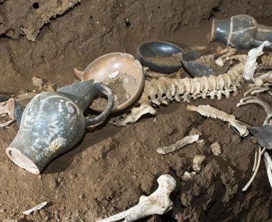 Skeletal remains and grave goods found in the ‘Tomb of the Athlete.’ 