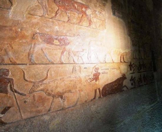 Two Ancient High Official Father and Son Tombs Opened at Pyramids Area in Egypt