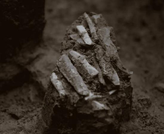 The 30,000-year-old stone tool bundle as discovered at Milovice IV archaeological site. 