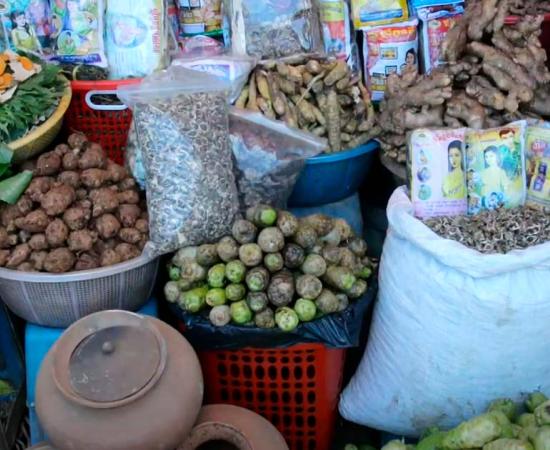 traditional medicine, Cambodia, healers, ingredients, healthcare