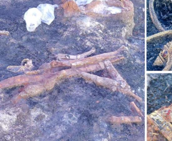 Trove of Gold Bejeweled Artifacts Uncovered at the Burial of a Thracian Warrior