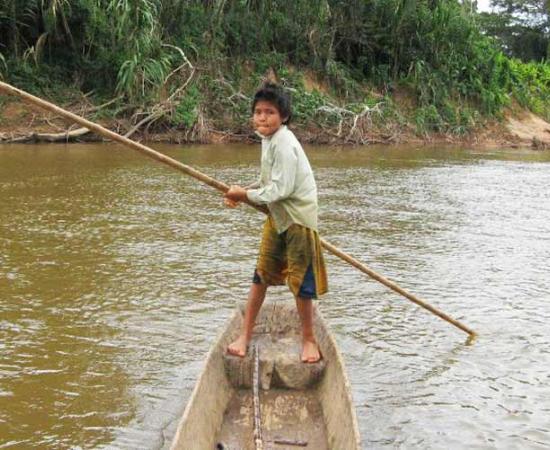 Bolivian Tsimane Amazonians Have the Best Hearts in the World