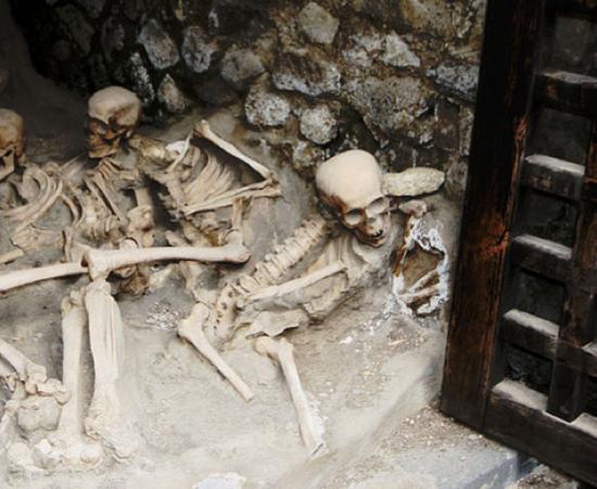 Skeletons in the' Boat Houses', Herculaneum