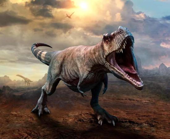 Tyrannosaurus Rex Likely Hunted in Packs - and There Were Billions of Them!