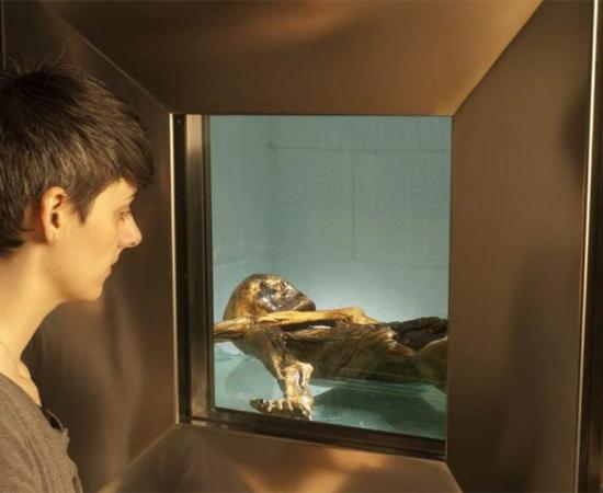 Window looking into the Iceman's refrigerated cell. A new study explores the environment in which the Tyrolean Iceman (Otzi) died. Source: South Tyrol Museum of Archaeology/Ochsenreiter