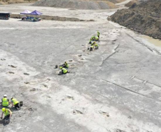 Pair of dinosaur trackways crossing over each other on the floor of Dewars Farm Quarry in Oxfordshire.