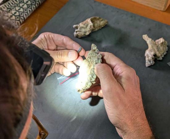 Researcher examining Ledi-Geraru fossils under a headlamp