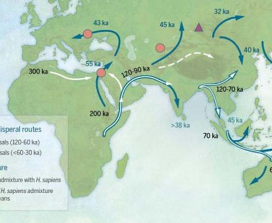 Map of sites and postulated migratory pathways associated with modern humans dispersing across Asia during the Late Pleistocene.