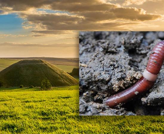 Deriv; Silbury Hill, Avebury, UK. Inset, the humble earthworm