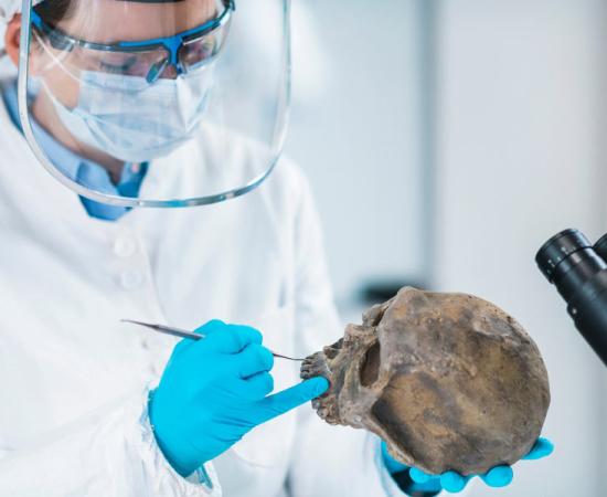 Ancient Uruguayan DNA is being used to understand the migrations of indigenous peoples to South America. This image shows a scientist working in bio-archaeology lab.                        		    Source: Microgen / Adobe Stock