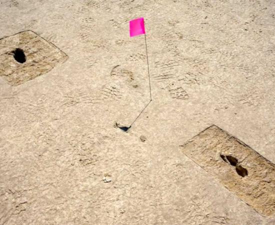 Some of the ancient ghost footprints marked with pin flags discovered in Utah. Source: R. Nial Bradshaw / US Air Force