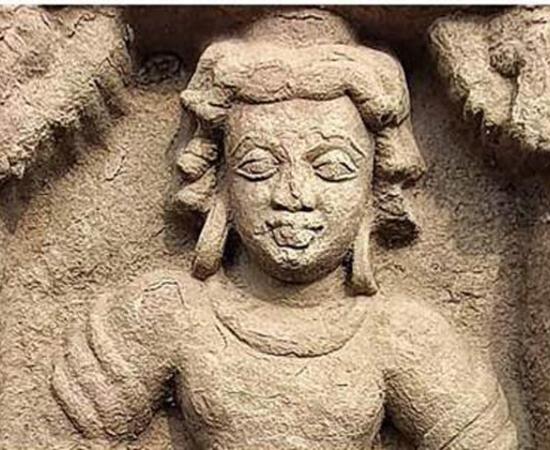 Ancient temple remains found at Bilsarh village. Credit: Dr. Vasant Sawarkar, the Superintending Archaeologist of the Agra circle