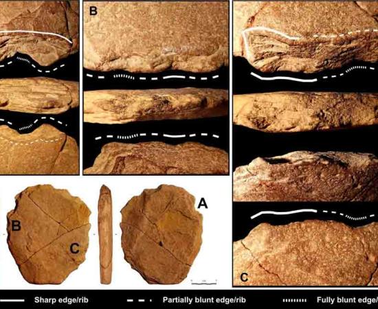 Vale da Pedra Furada Stone Tool Questions First Americans Timeline