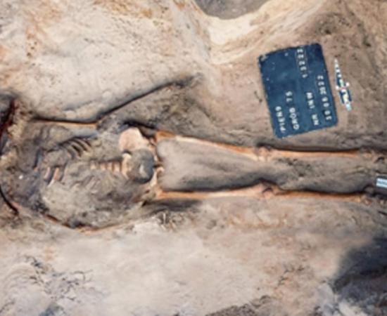 Grave 75 at Pień, showing the disturbed grave and sickle across the woman’s neck.