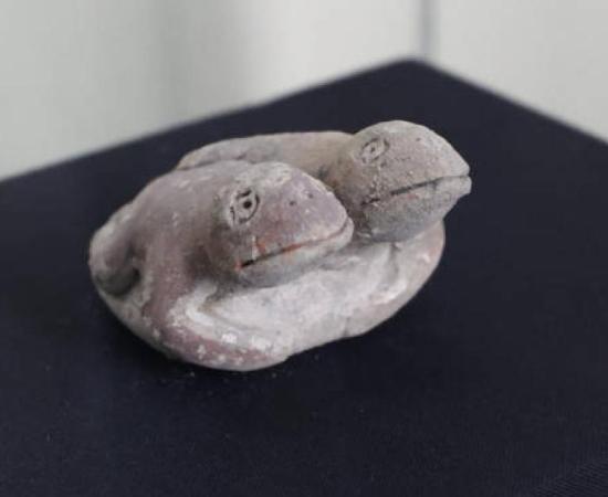 The dual representation of toads, discovered at the 3,800-year-old Vichama site in Peru