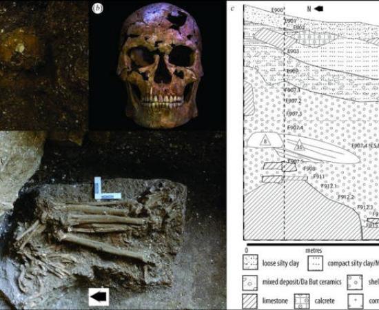 Images of the human remains TBH1 in the Thung Binh 1 cave, and diagram of the stratigraphic position of the find. 