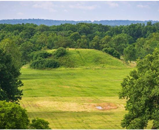 View of Cahokia Mounds State Historic Site. Source:  Zack Frank / Adobe Stock   By Nathan Falde 
