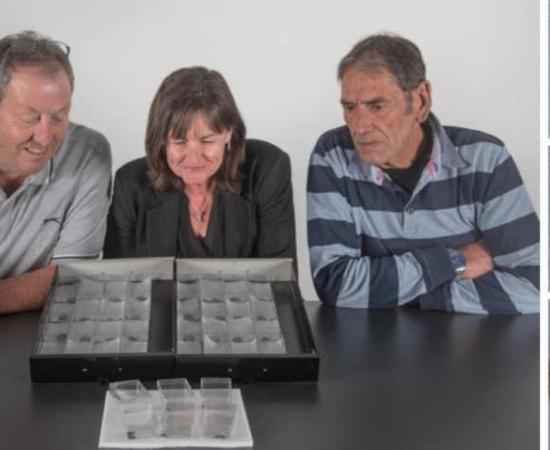 Viking Coin Hoard Find Includes a Fistful of Kings