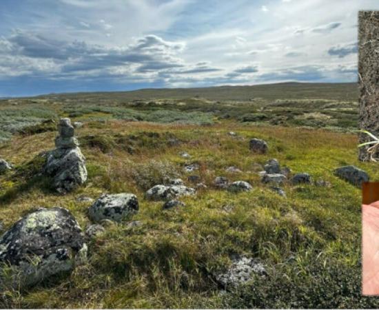 The foundation of an old hut near a hiking trail in Holmetjønn, Hardangervidda, Norway. 