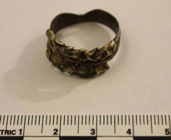 What did this ring with two wolf heads symbolize to the Viking who wore it? 